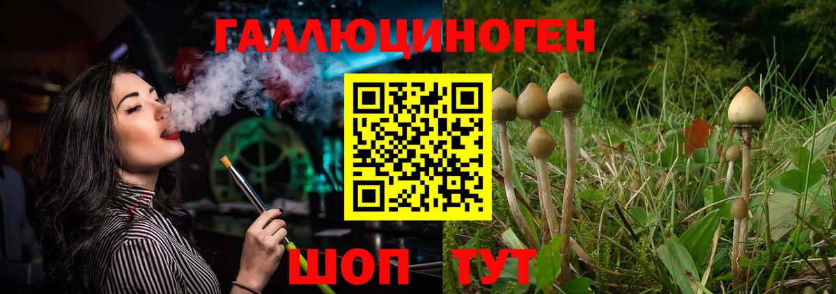 Псилоцибиновые грибы мицелий  Вход с VPN  Волжский 