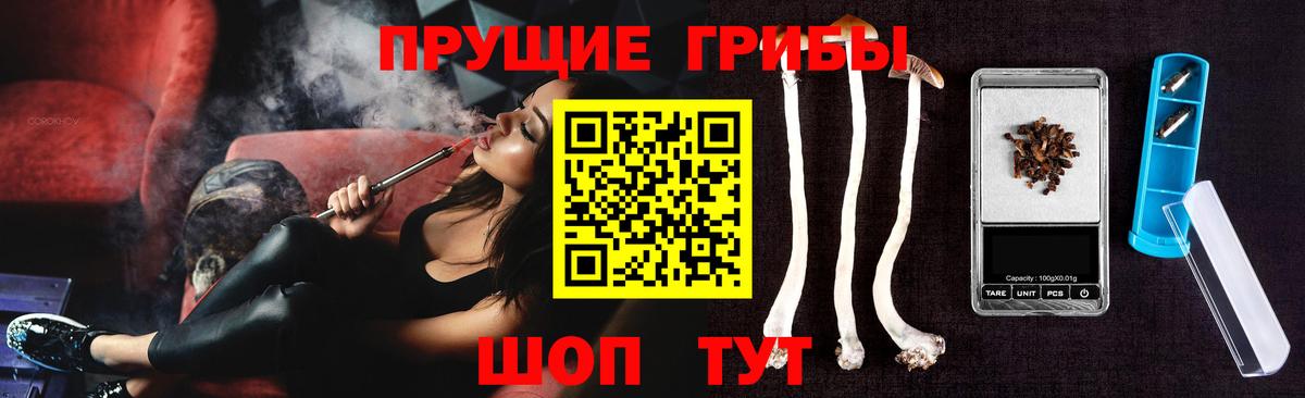 Галлюциногенные грибы Psilocybine cubensis Волжский